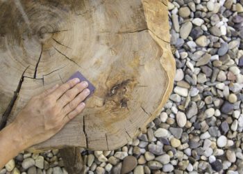 Mesas de Autor: la segunda vida de los árboles