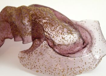 Biocompuesto sustituto del plástico que puede ser flexible y translúcido