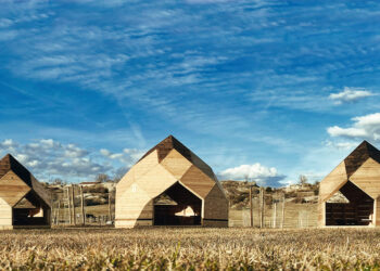 Los zomes: hábitats diferentes