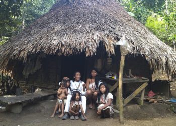 Asesoría para un diseño ecológico en La Guajira, Colombia