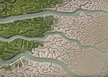 Cosechar agua en bioconstrucción, Tercera Parte: Estudio integral para la regeneración del agua y del paisaje en una finca histórica del Bajo Llobregat