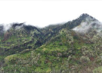 Se presentan 3 captadores de agua de niebla made in Spain capaces de recolectar hasta 250l de agua por m2 y mes