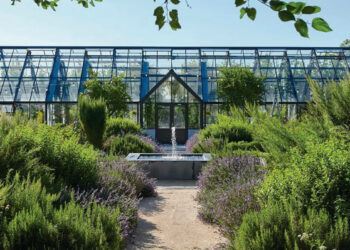 Diseño Biofílico. La naturaleza no es sólo lo que vemos