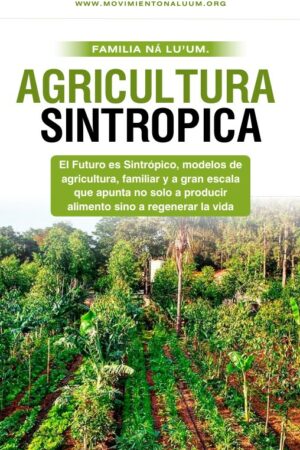 agricultura sintrópica