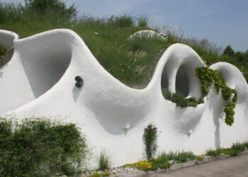 Más allá del verde técnico. Nuestra conexión con la naturaleza