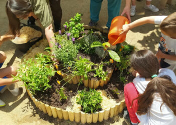 Acciones comunitarias, espacios compartidos