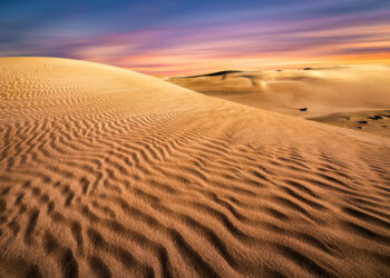 ¿Tiene la biohabitabilidad un espacio propio en nuestro universo creativo?