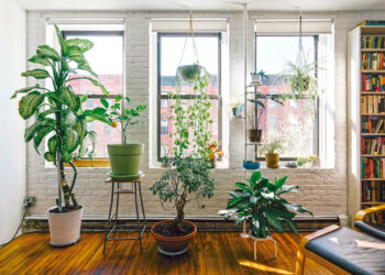 Mediciones de Salud del Hábitat. Una visión práctica de la biohabitabilidad