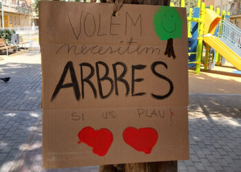 Del asfalto al verde: cómo los patios escolares se convierten en refugios climáticos y espacios de bienestar